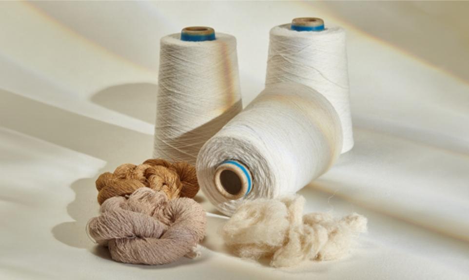 PALF yarn