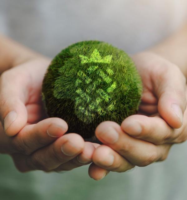 Environmental sustainability